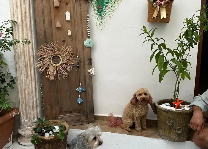 Carsi Butik Szálloda *